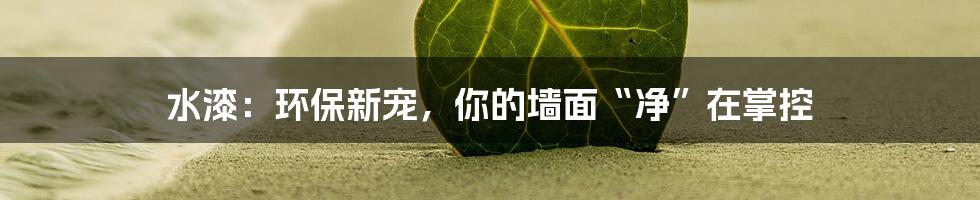 水漆:环保新宠,你的墙面“净”在掌控
