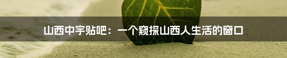 山西中宇贴吧：一个窥探山西人生活的窗口