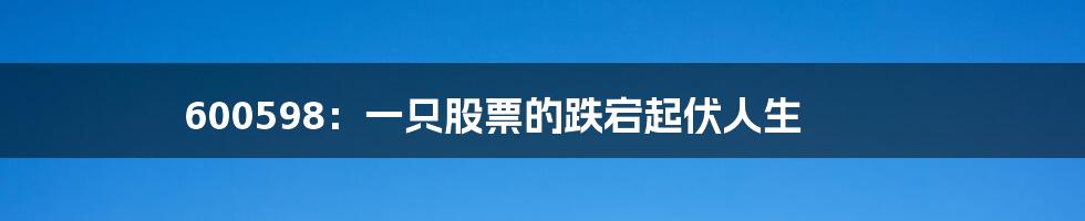 600598：一只股票的跌宕起伏人生