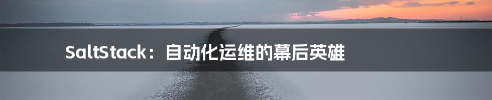 SaltStack：自动化运维的幕后英雄