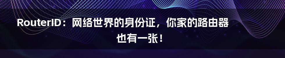 RouterID：网络世界的身份证，你家的路由器也有一张！