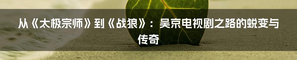 从《太极宗师》到《战狼》:吴京电视剧之路的蜕变与传奇