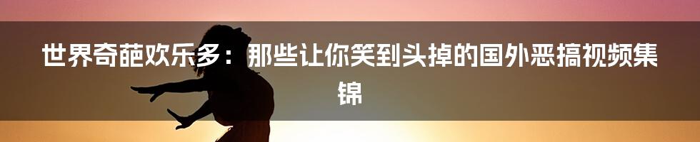 世界奇葩欢乐多：那些让你笑到头掉的国外恶搞视频集锦