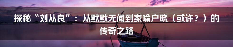 探秘“刘从良”:从默默无闻到家喻户晓(或许?)的传奇之路