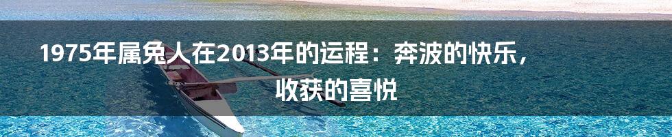 1975年属兔人在2013年的运程：奔波的快乐，收获的喜悦