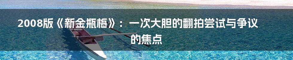 2008版《新金瓶梅》：一次大胆的翻拍尝试与争议的焦点