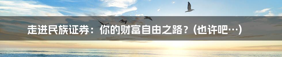 走进民族证券：你的财富自由之路？(也许吧…)