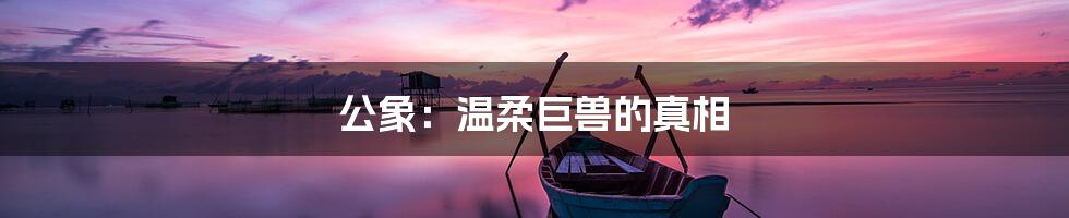 公象：温柔巨兽的真相
