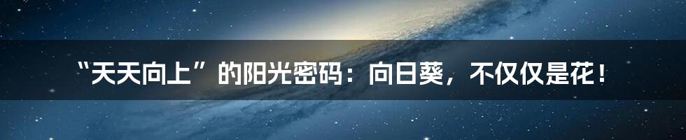“天天向上”的阳光密码:向日葵,不仅仅是花!
