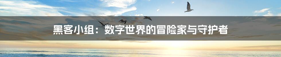 黑客小组:数字世界的冒险家与守护者