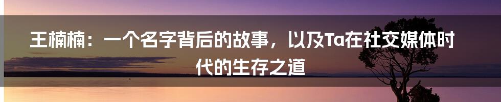 王楠楠:一个名字背后的故事,以及Ta在社交媒体时代的生存之道