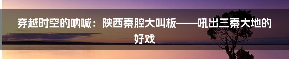 穿越时空的呐喊:陕西秦腔大叫板——吼出三秦大地的好戏