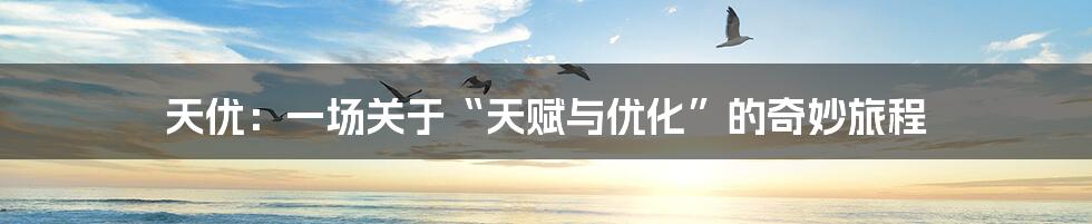 天优：一场关于“天赋与优化”的奇妙旅程