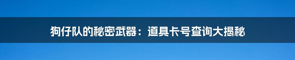 狗仔队的秘密武器:道具卡号查询大揭秘