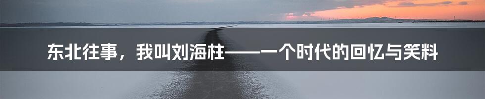 东北往事，我叫刘海柱——一个时代的回忆与笑料