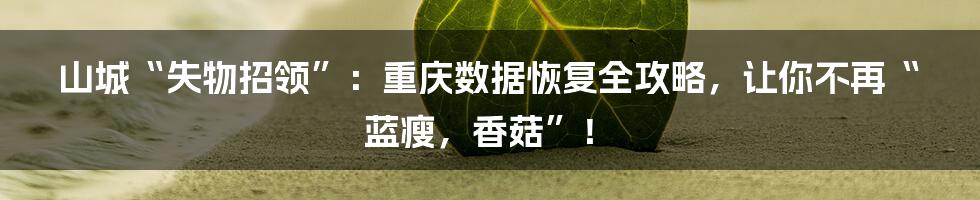 山城“失物招领”：重庆数据恢复全攻略，让你不再“蓝瘦，香菇”！