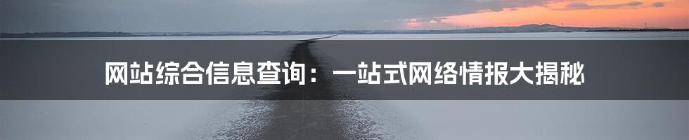 网站综合信息查询：一站式网络情报大揭秘
