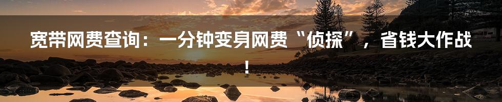 宽带网费查询：一分钟变身网费“侦探”，省钱大作战！