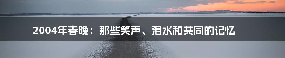 2004年春晚：那些笑声、泪水和共同的记忆