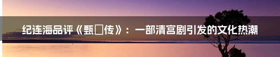 纪连海品评《甄嬛传》:一部清宫剧引发的文化热潮