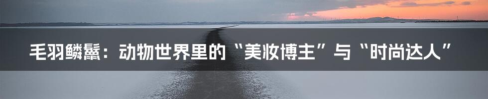 毛羽鳞鬣：动物世界里的“美妆博主”与“时尚达人”