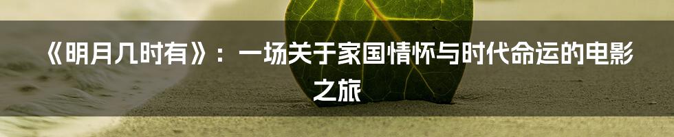 《明月几时有》：一场关于家国情怀与时代命运的电影之旅