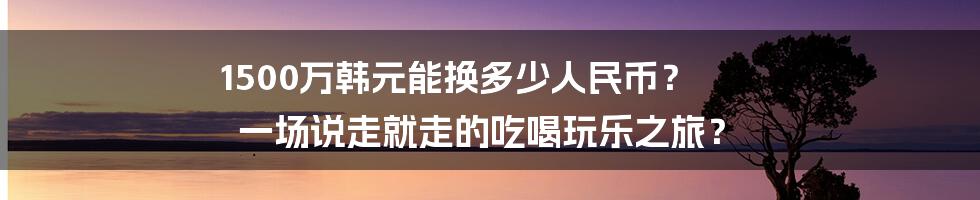 1500万韩元能换多少人民币? 一场说走就走的吃喝玩乐之旅?