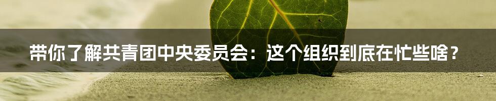 带你了解共青团中央委员会：这个组织到底在忙些啥？