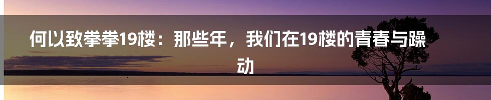 何以致拳拳19楼:那些年,我们在19楼的青春与躁动