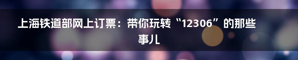 上海铁道部网上订票:带你玩转“12306”的那些事儿