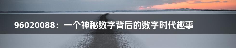 96020088:一个神秘数字背后的数字时代趣事