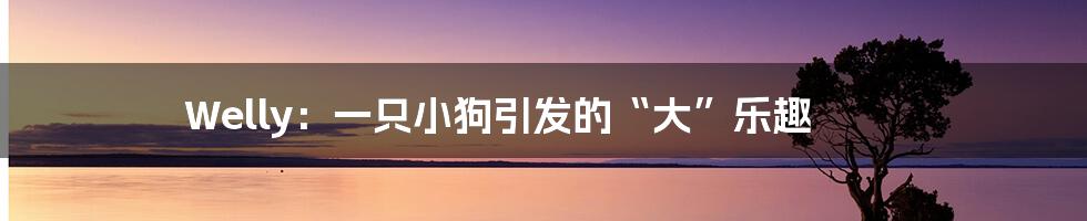 Welly:一只小狗引发的“大”乐趣