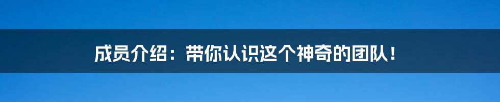 成员介绍:带你认识这个神奇的团队!