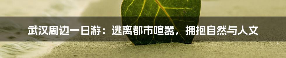 武汉周边一日游:逃离都市喧嚣,拥抱自然与人文