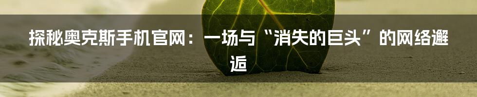 探秘奥克斯手机官网：一场与“消失的巨头”的网络邂逅