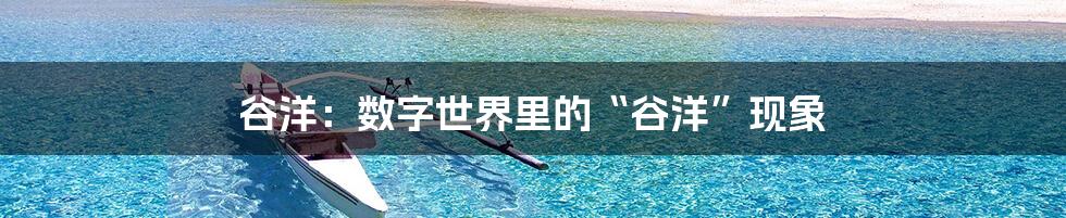 谷洋：数字世界里的“谷洋”现象