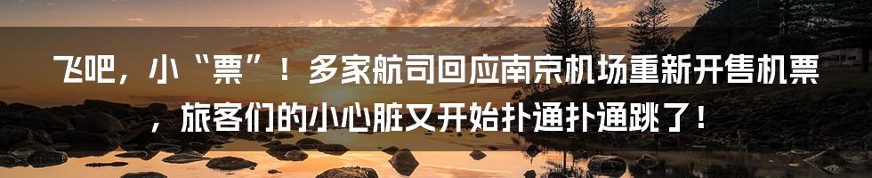 飞吧，小“票”！多家航司回应南京机场重新开售机票，旅客们的小心脏又开始扑通扑通跳了！