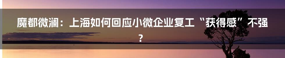魔都微澜：上海如何回应小微企业复工“获得感”不强？