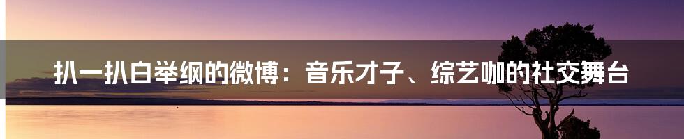 扒一扒白举纲的微博:音乐才子、综艺咖的社交舞台