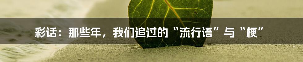 彩话:那些年,我们追过的“流行语”与“梗”