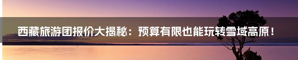 西藏旅游团报价大揭秘:预算有限也能玩转雪域高原!