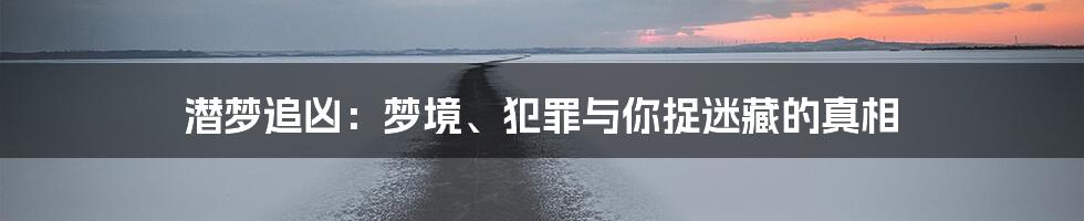 潜梦追凶：梦境、犯罪与你捉迷藏的真相