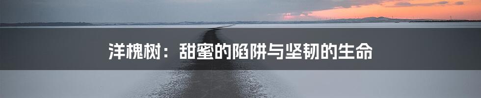 洋槐树:甜蜜的陷阱与坚韧的生命
