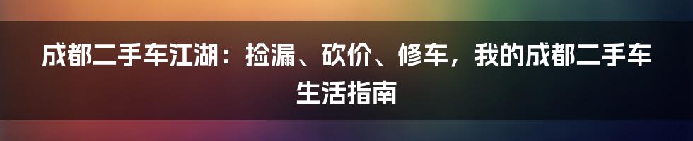成都二手车江湖:捡漏、砍价、修车,我的成都二手车生活指南