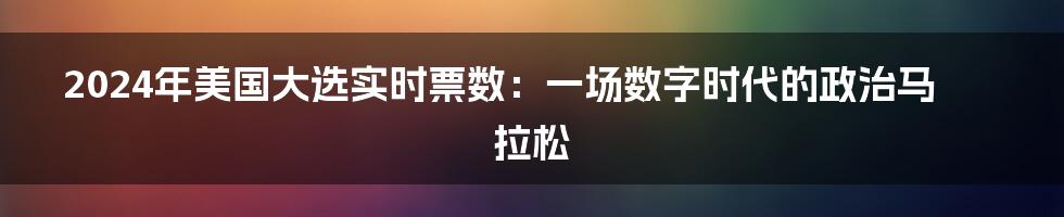 2024年美国大选实时票数：一场数字时代的政治马拉松