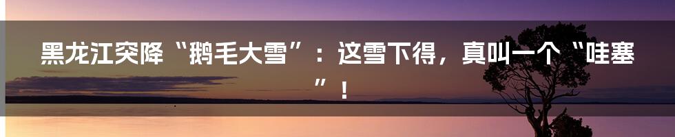 黑龙江突降“鹅毛大雪”：这雪下得，真叫一个“哇塞”！
