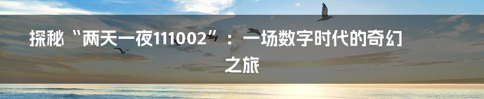 探秘“两天一夜111002”：一场数字时代的奇幻之旅