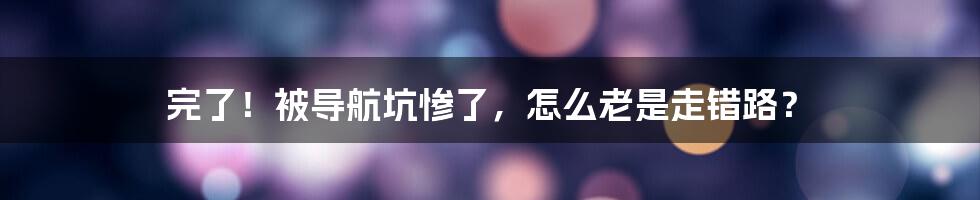 完了！被导航坑惨了，怎么老是走错路？