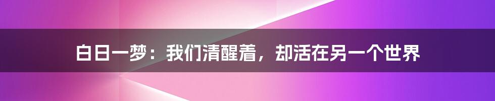白日一梦:我们清醒着,却活在另一个世界