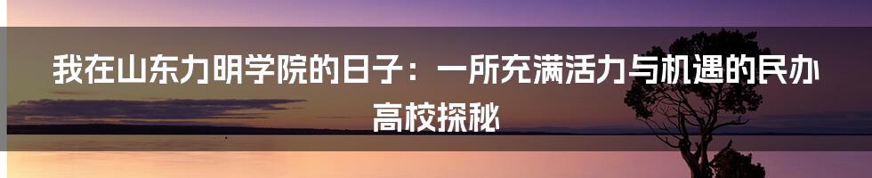 我在山东力明学院的日子：一所充满活力与机遇的民办高校探秘